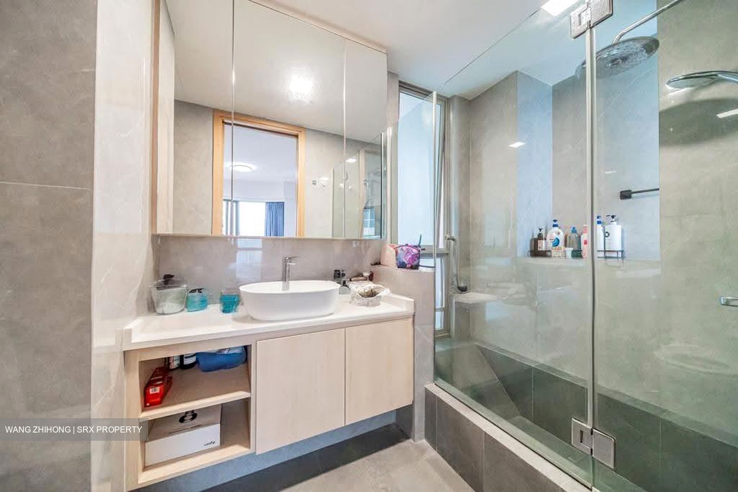 Amaryllis Ville (D11), Condominium #622231081